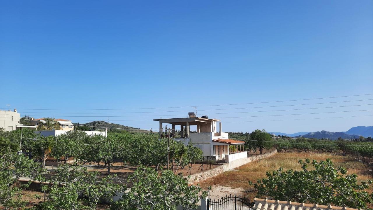 Mosxonas House Apartment Aegina Luaran gambar